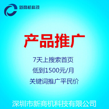 上海关键词排名提升